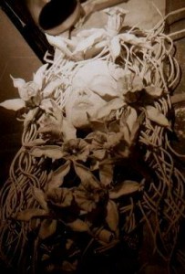 scl (64) - コピー     